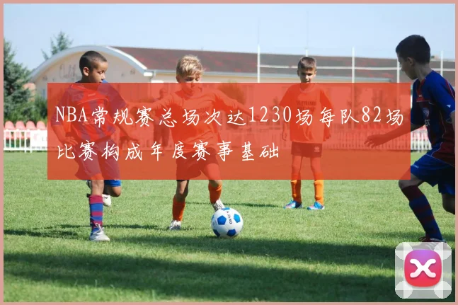 NBA常规赛总场次达1230场每队82场比赛构成年度赛事基础