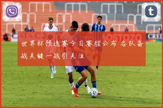 世界杯预选赛今日赛程公布 各队备战关键一战引关注