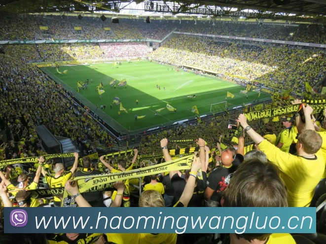 多媒体互动体验